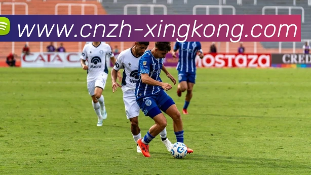 星空体育服务体系